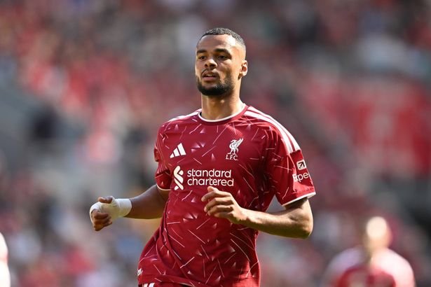 Tottenham Closing in on Cody Gakpo as Liverpool Pursue Bradley Barcola