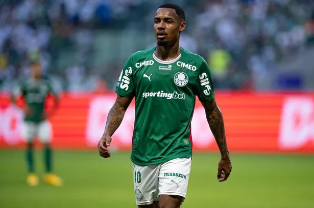 Man City Face Palmeiras Warning as Pursuit of Allan Elias Reaches Final Stage